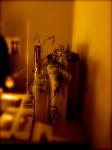 blooming boozes pesial｜「窓花」　（愛知県名古屋市中区の花キューピット加盟店 花屋）のブログ